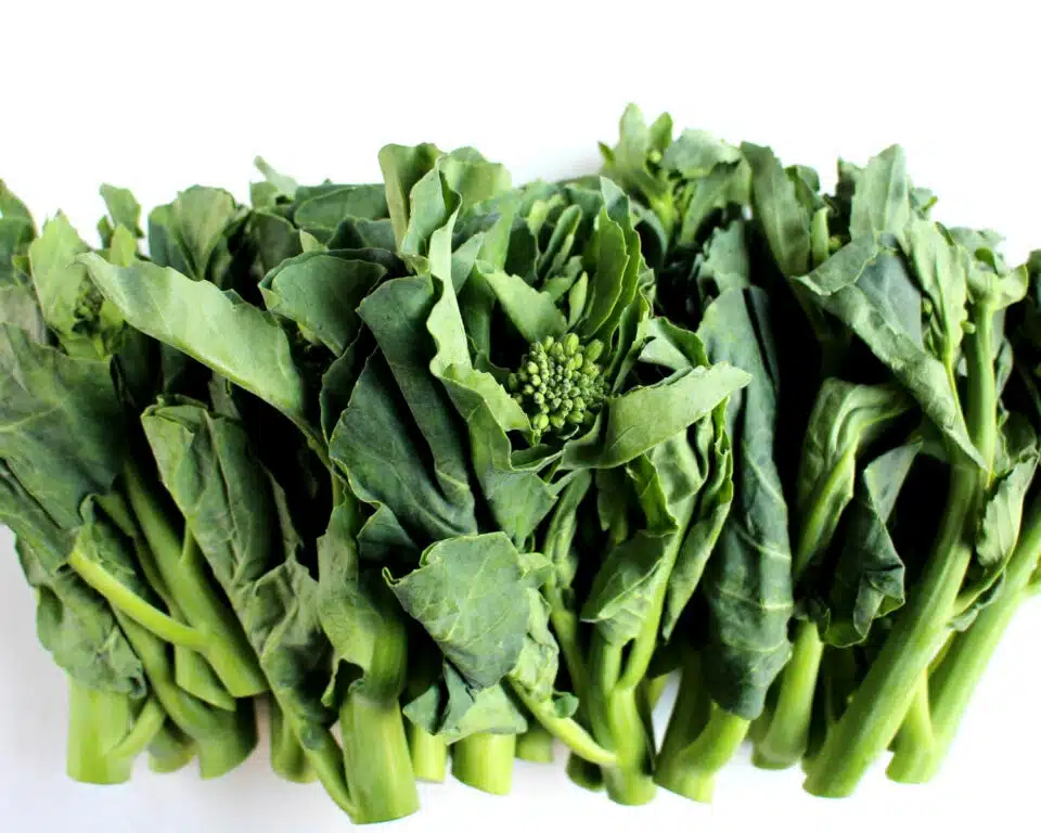 Bunch of kai lan Chinese broccoli sits on a table.