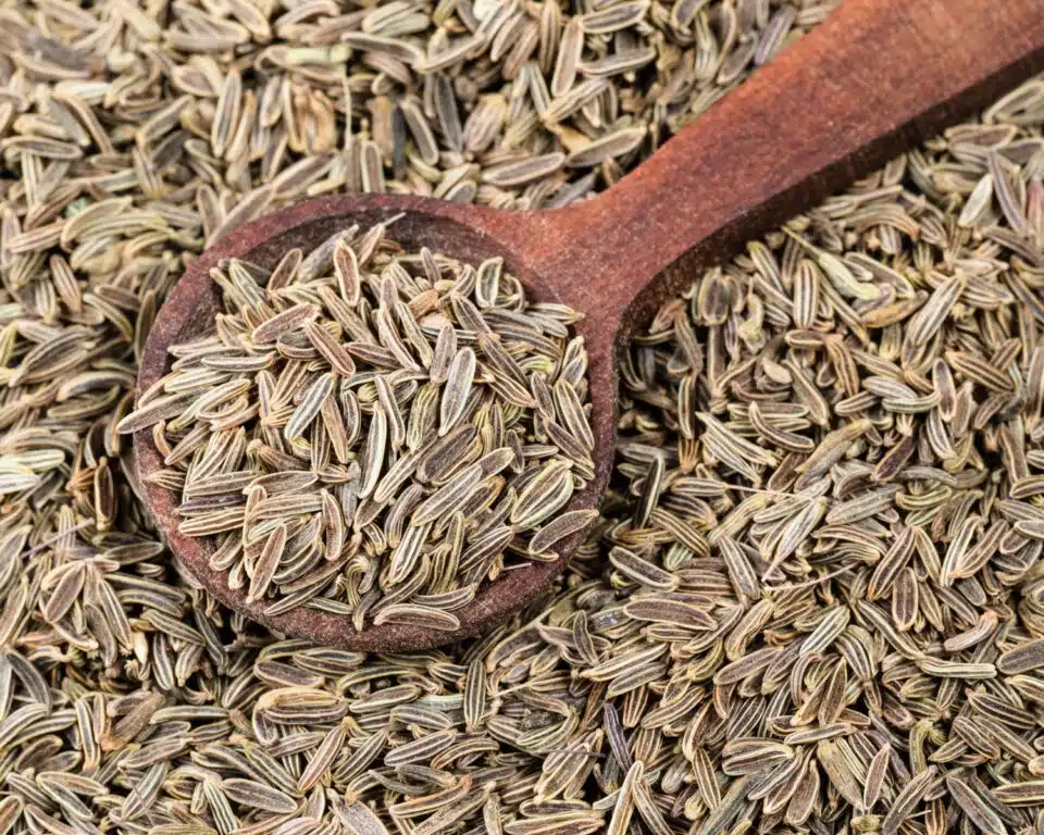 A wooden spoonful of kala zeera seeds sits in a large pile of the seeds.