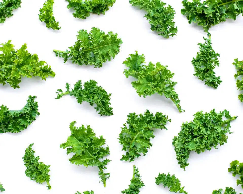Kale leaves are arranged artfully on a white counter.