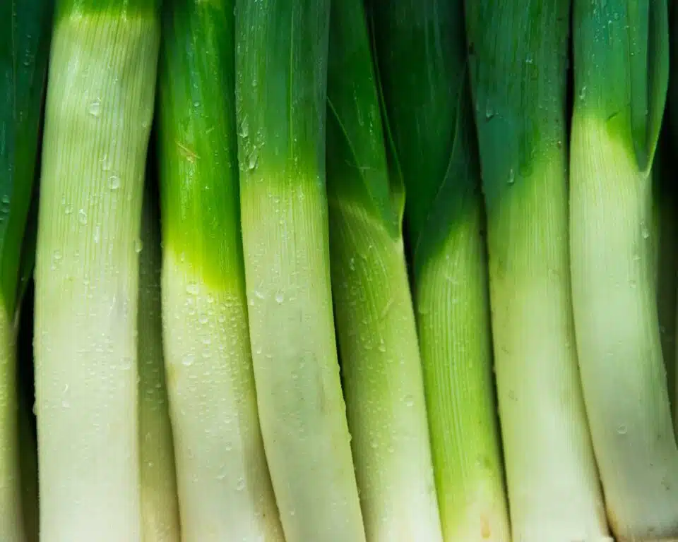 A closeup of several leeks laid side by side.
