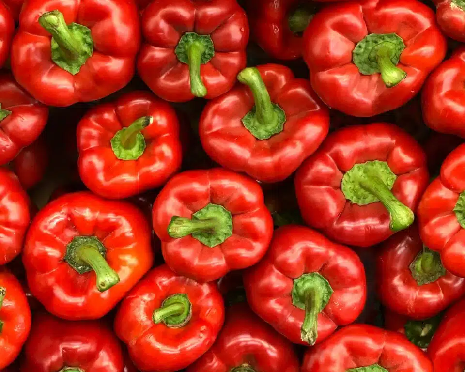 A photo looking down on a bunch of red bell peppers, all with their stems pointing up.
