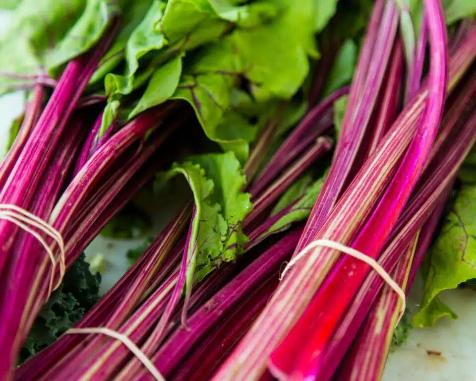 A closeup of brightly colored rhubarb stems, with the green ends barely visible.