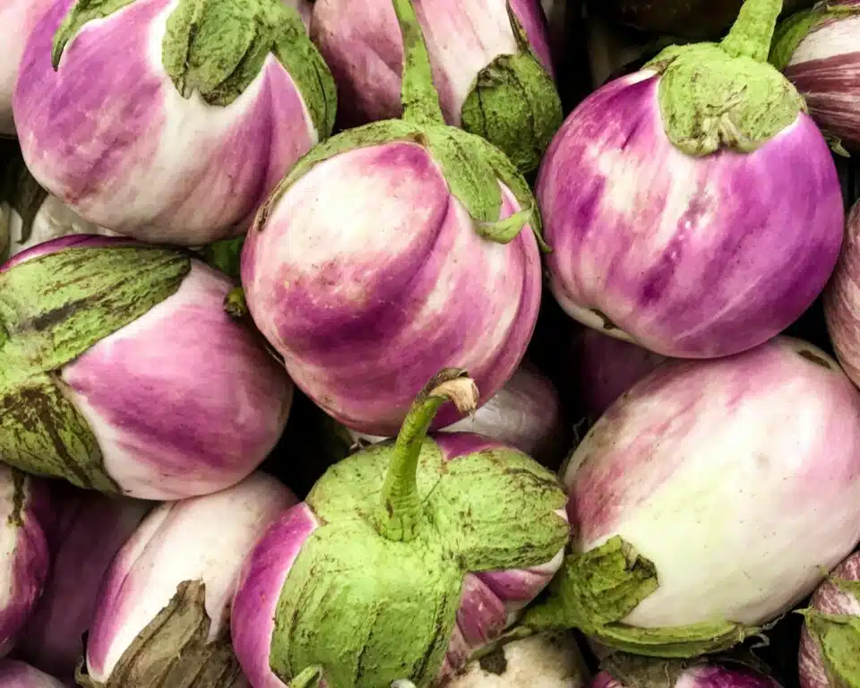 A photo of rosa Bianca eggplants stacked together.