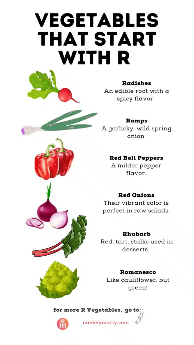 This infographic is titled, Vegetables that Start with R. There are graphic images of vegetables below it with this text: Radishes An edible root with a spicy flavor; Ramps A garlicky, wild spring onion; Red Bell Peppers A milder pepper flavor; Red Onions Their vibrant color is perfect in raw salads; Rhubarb Red, tart, stalks used in desserts; Romanesco Like cauliflower, but green. The text at the bottom reads, for more R Vegetables, go to: namelymarly.com.